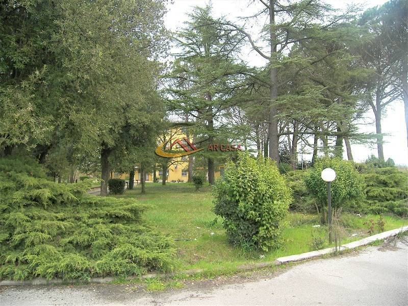 immagine annuncio 10 di 14