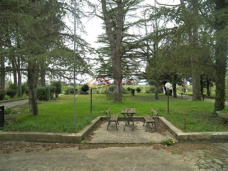 immagine annuncio 11 di 14