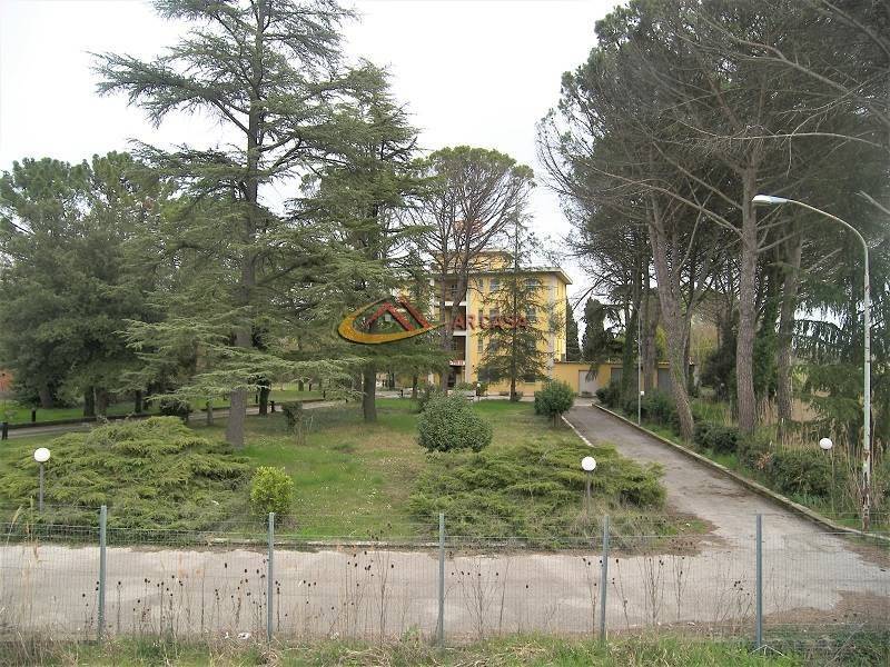 immagine annuncio 12 di 14