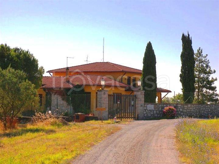 immagine annuncio 2 di 7