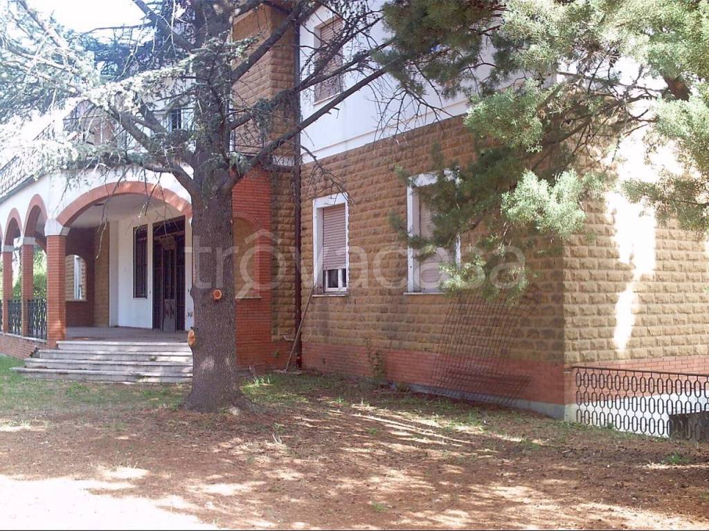 immagine annuncio 4 di 7