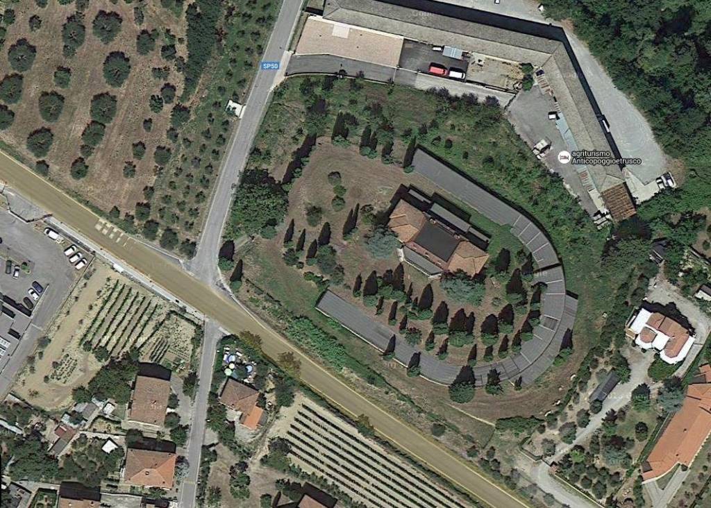 immagine annuncio 5 di 7