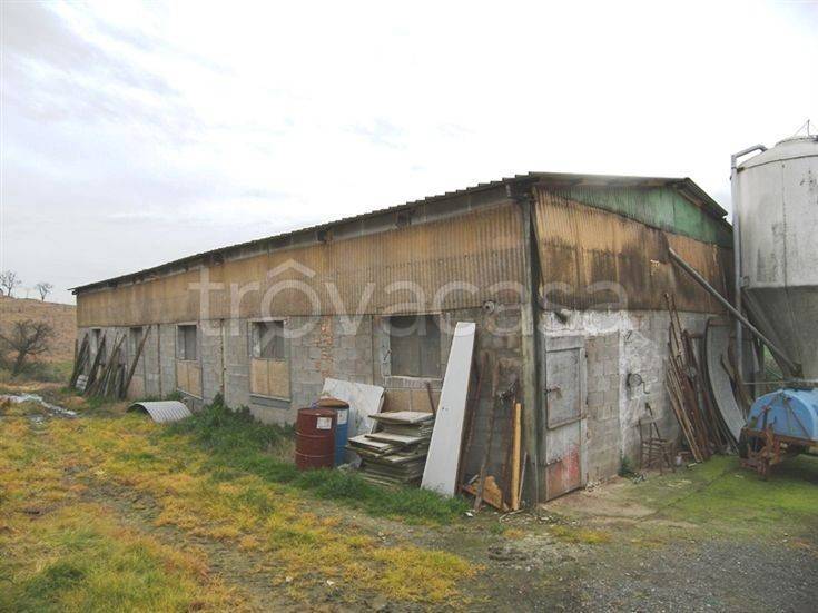 immagine annuncio 3 di 7