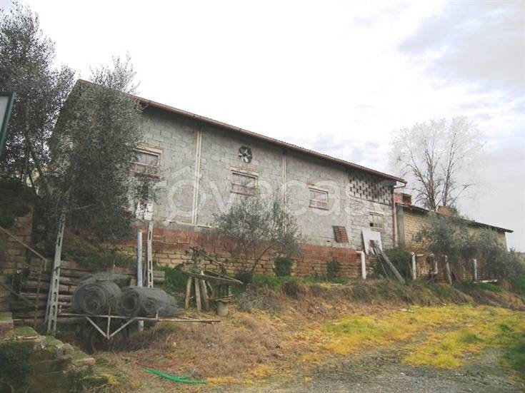 immagine annuncio 4 di 7