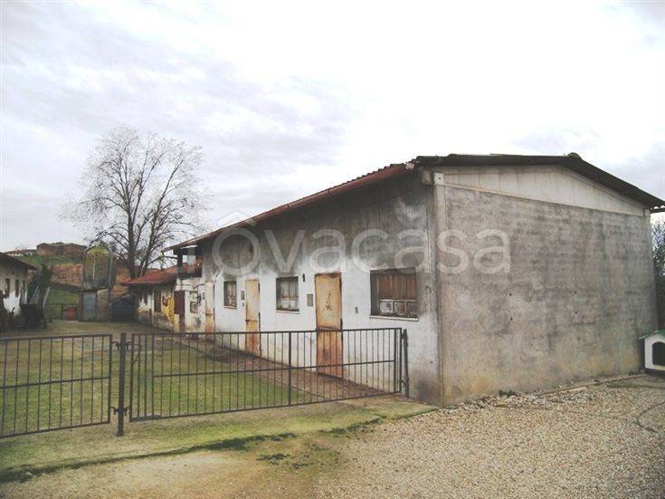 immagine annuncio 5 di 7