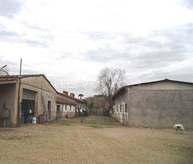 immagine annuncio 6 di 7