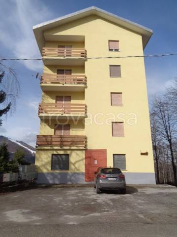 immagine annuncio 2 di 14