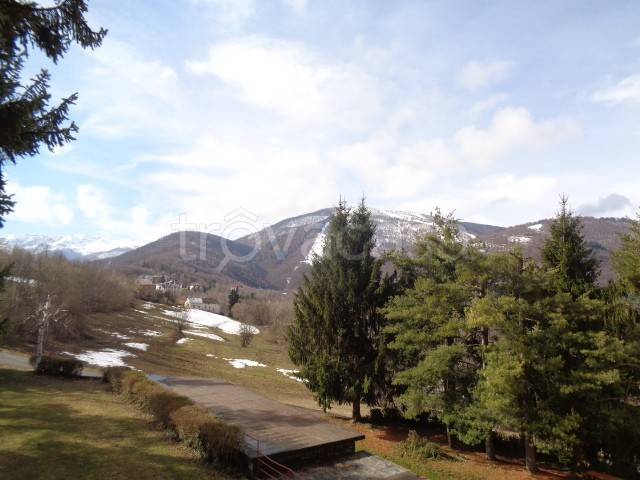 immagine annuncio 4 di 14