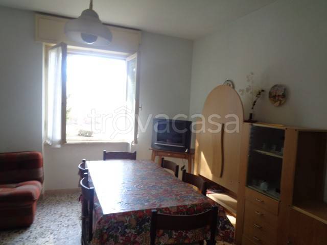 immagine annuncio 6 di 14