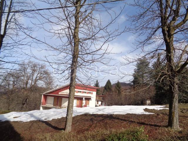 immagine annuncio 7 di 14