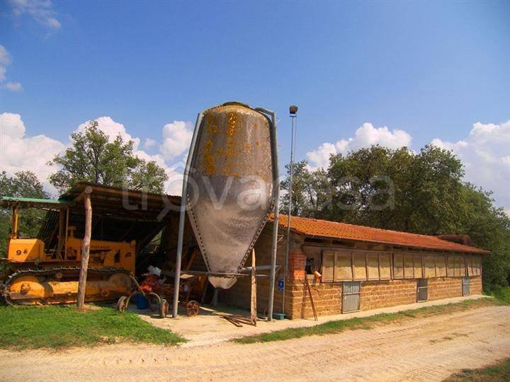 immagine annuncio 4 di 8