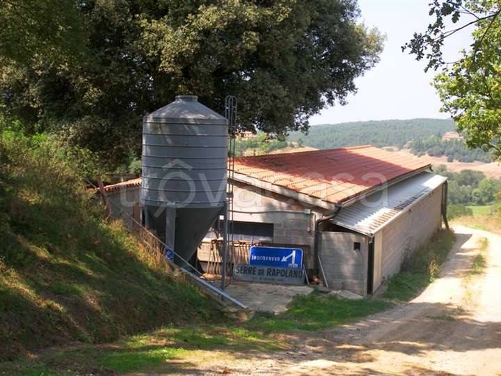 immagine annuncio 6 di 8