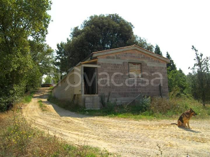 immagine annuncio 7 di 8