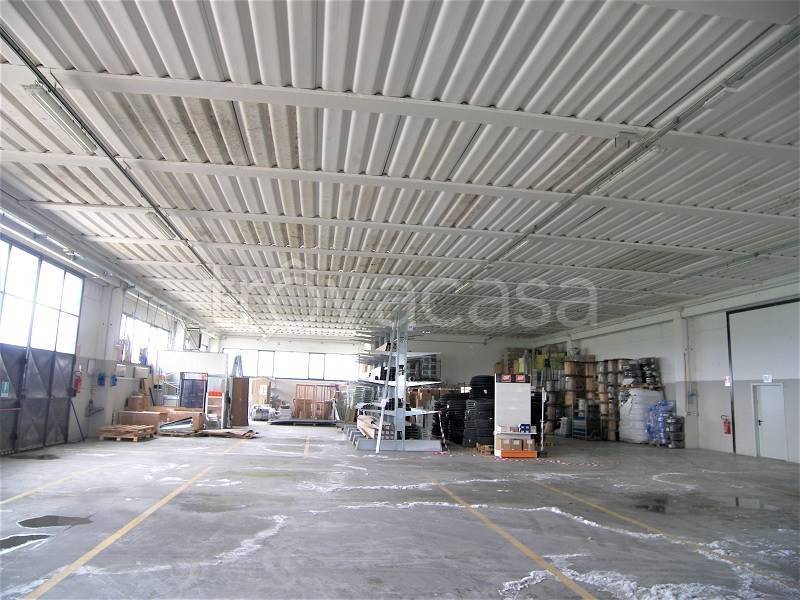 immagine annuncio 2 di 8