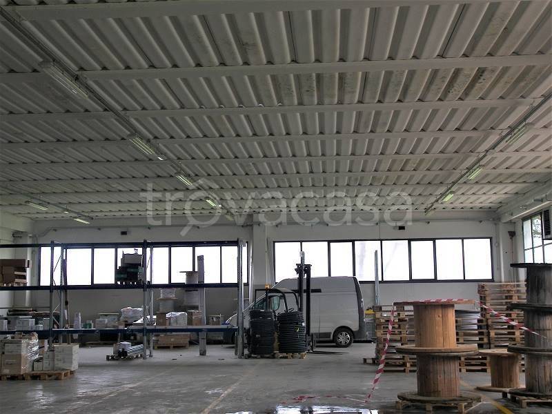 immagine annuncio 4 di 8