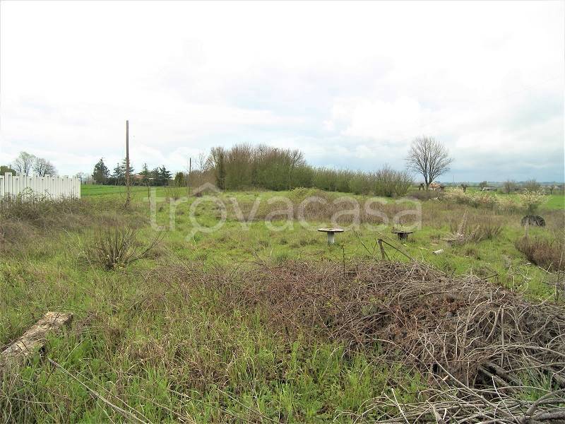 immagine annuncio 6 di 8