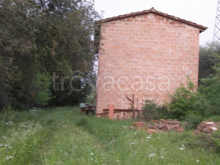 immagine annuncio 2 di 9