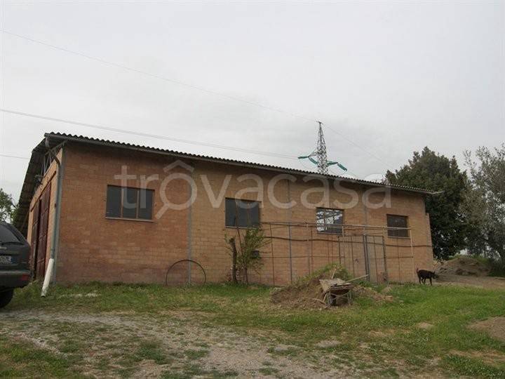 immagine annuncio 4 di 9