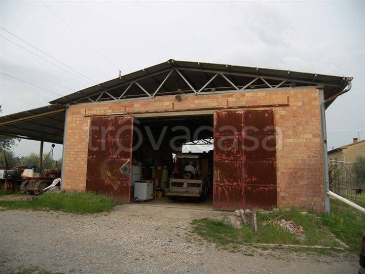 immagine annuncio 6 di 9