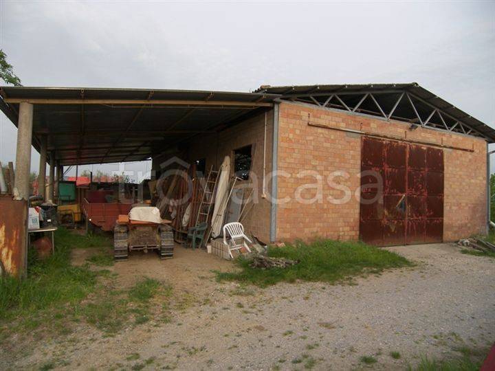 immagine annuncio 7 di 9