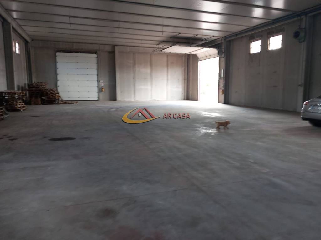 immagine annuncio 4 di 6