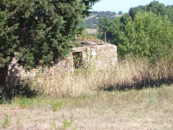 immagine annuncio 3 di 8