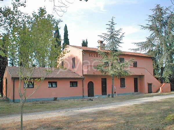 immagine annuncio 4 di 8