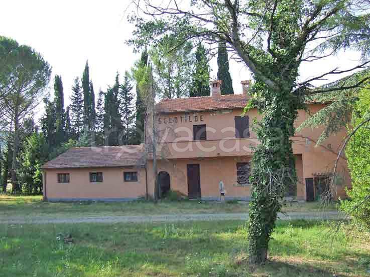 immagine annuncio 6 di 8