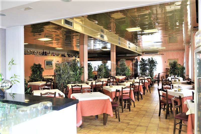 immagine annuncio 5 di 13