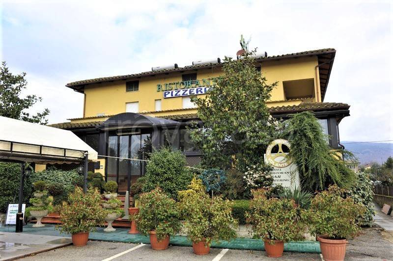 immagine annuncio 12 di 13