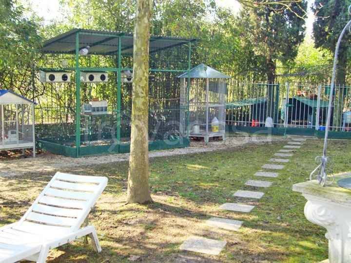 immagine annuncio 5 di 9