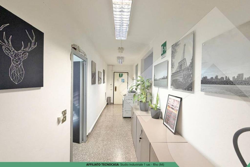 immagine annuncio 8 di 12