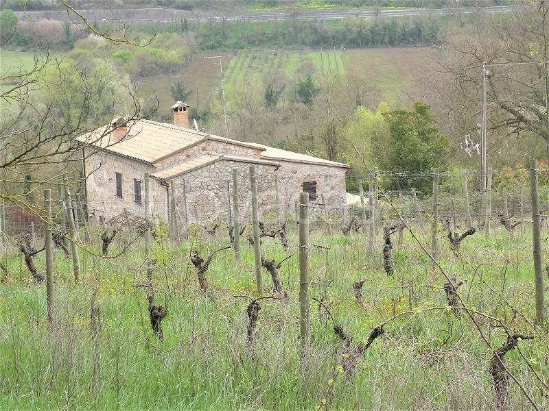 immagine annuncio 4 di 14