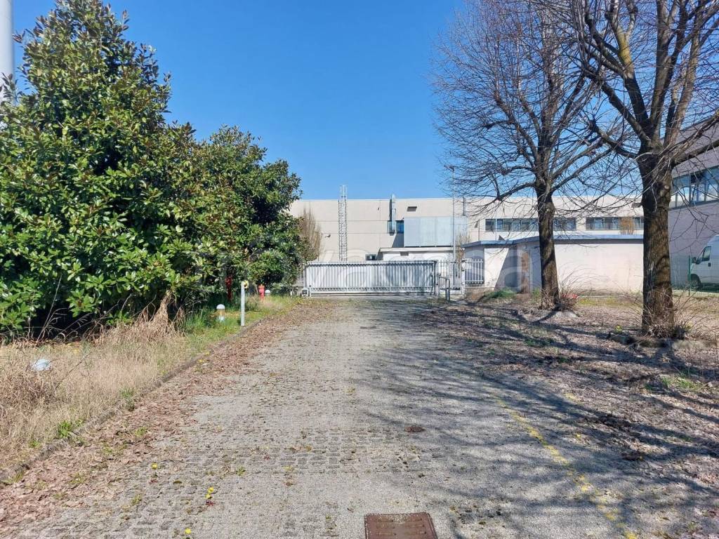 immagine annuncio 2 di 15