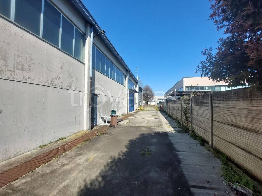 immagine annuncio 3 di 15