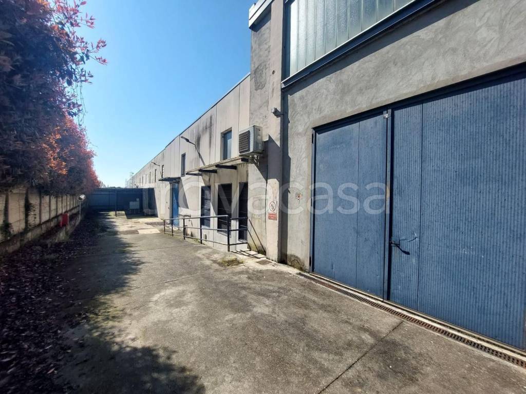 immagine annuncio 4 di 15