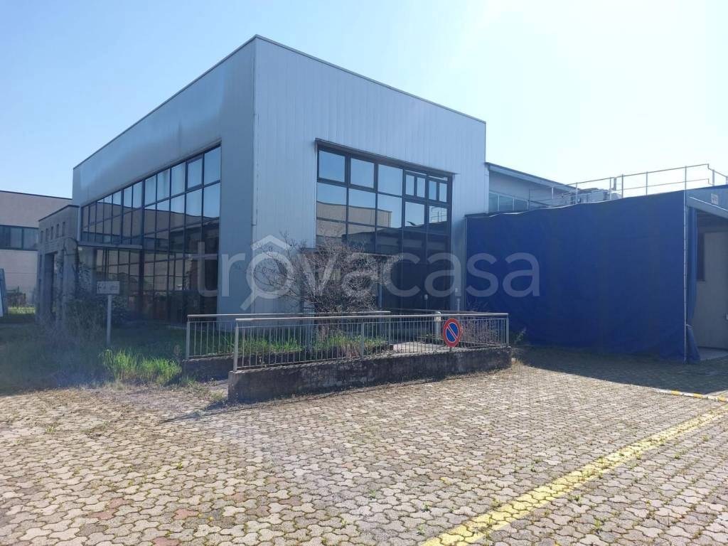 immagine annuncio 8 di 15