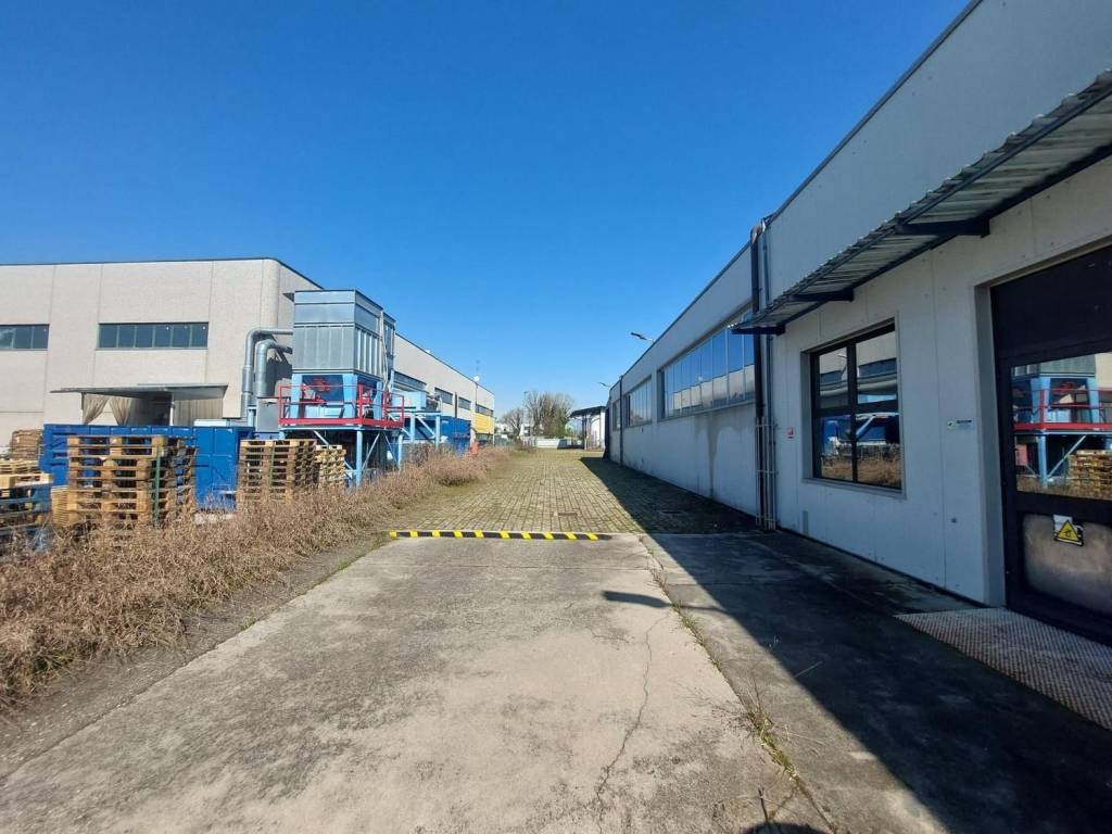 immagine annuncio 9 di 15