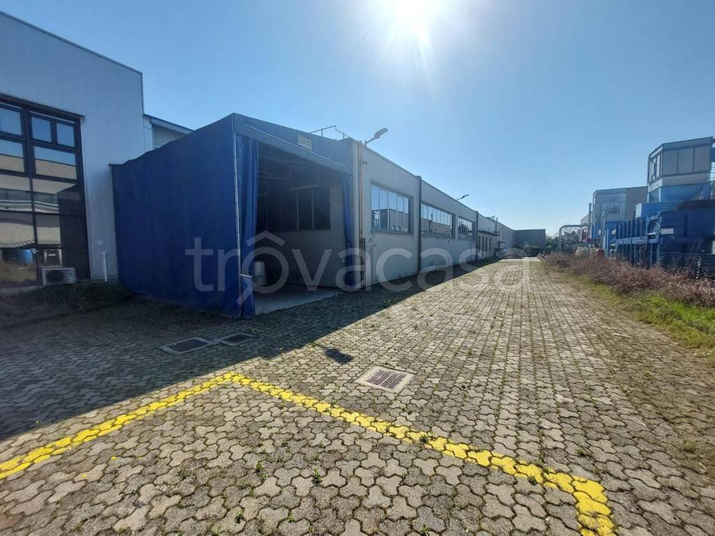 immagine annuncio 10 di 15