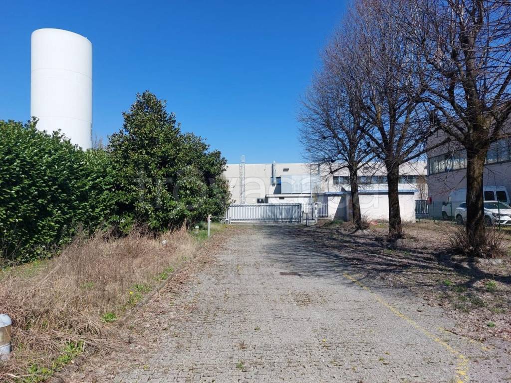 immagine annuncio 11 di 15