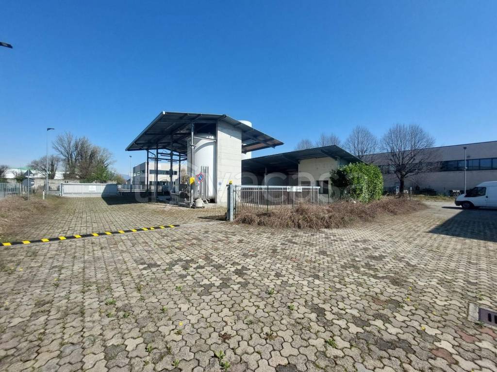 immagine annuncio 12 di 15