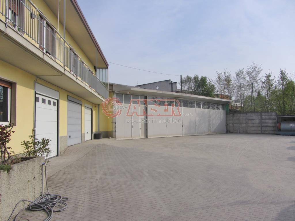 immagine annuncio 9 di 11