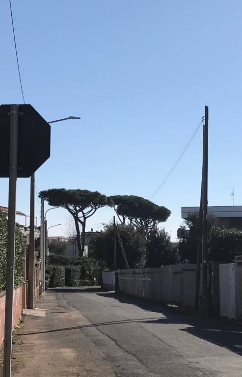 immagine annuncio 4 di 6