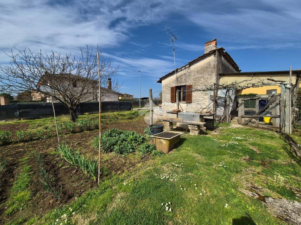 immagine annuncio 3 di 14