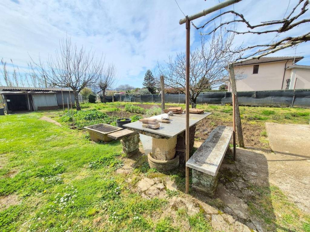 immagine annuncio 12 di 14