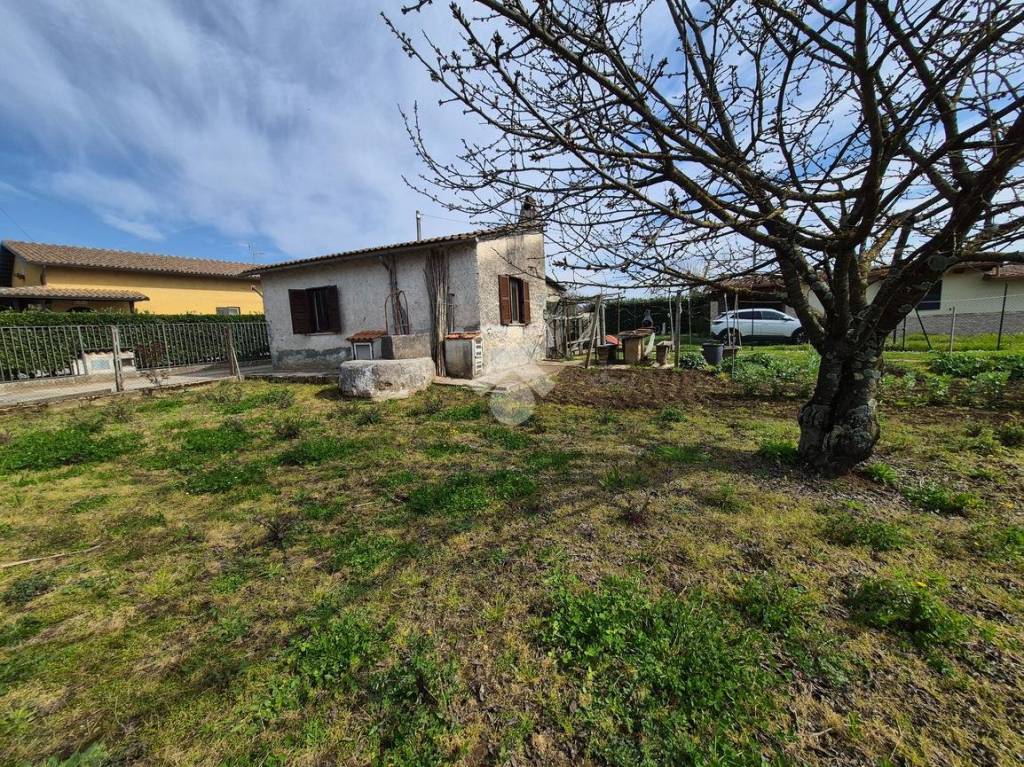 immagine annuncio 13 di 14