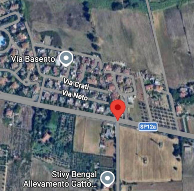 immagine annuncio 9 di 10