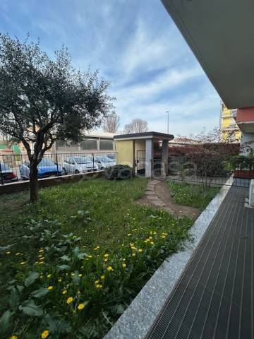 immagine annuncio 7 di 8