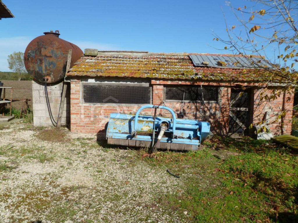 immagine annuncio 5 di 8