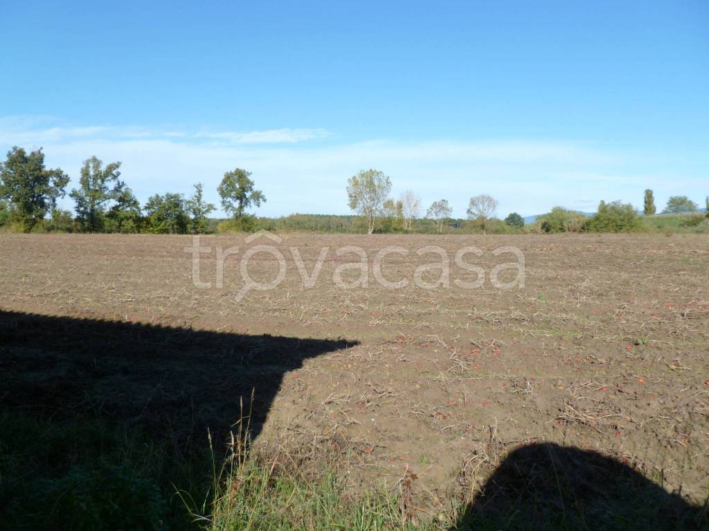 immagine annuncio 6 di 8